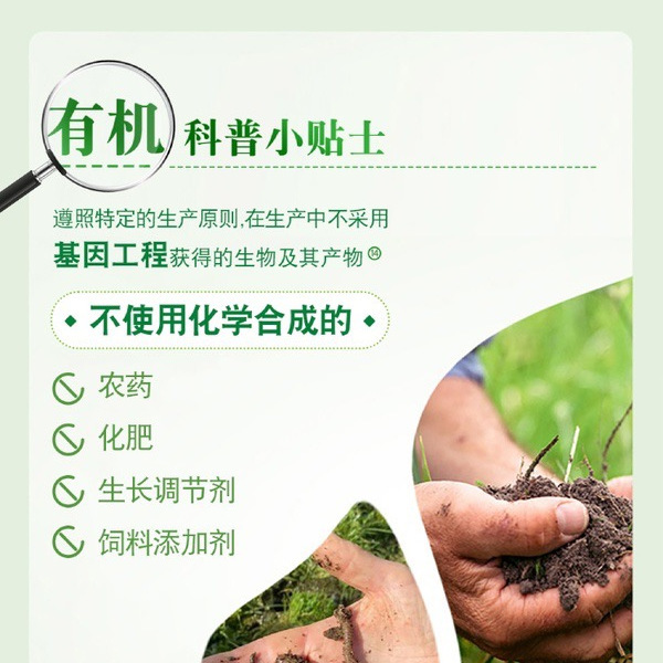 安佳（Anchor） 新西兰进口 有机全脂纯牛奶 详情图 2