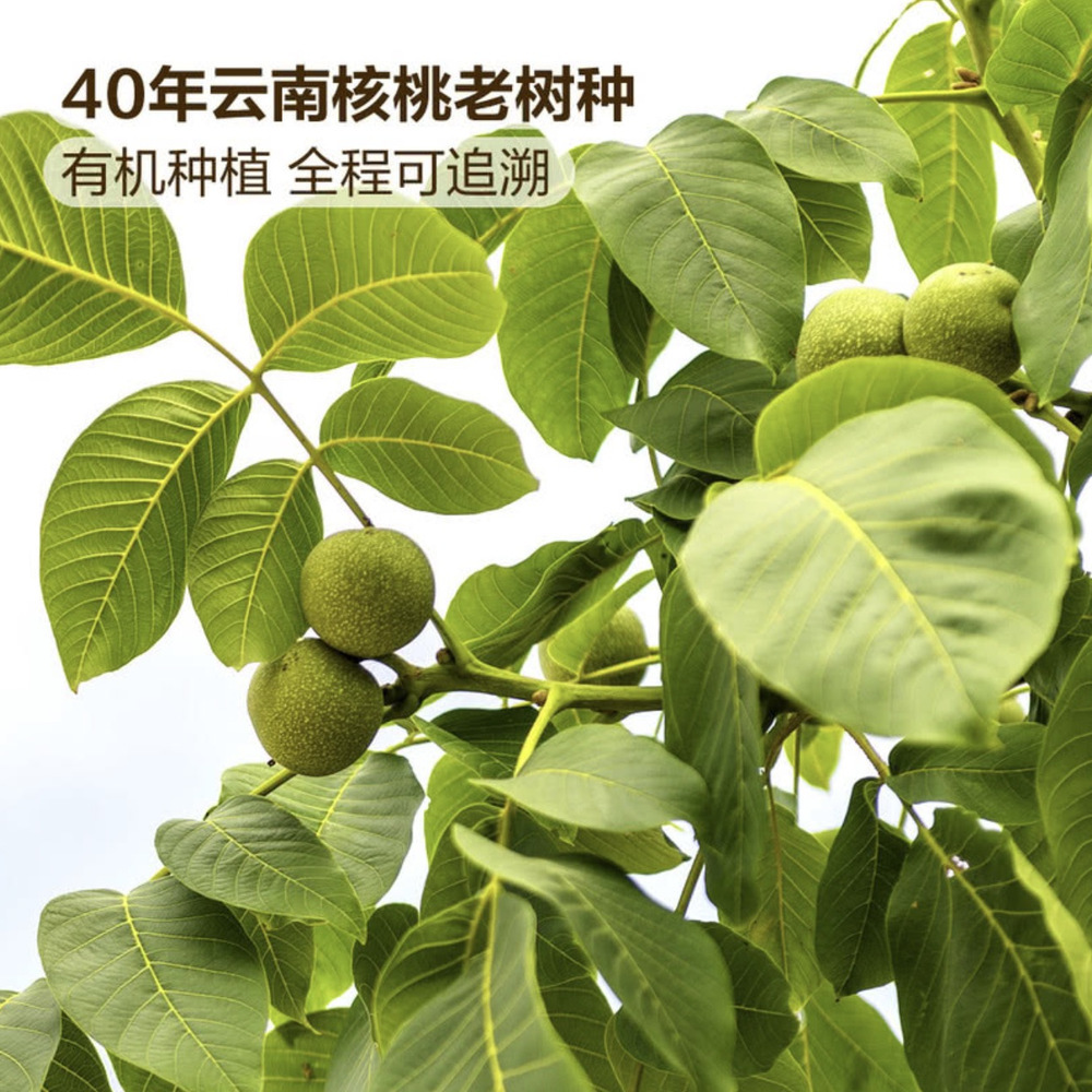 山姆有机云南核桃仁1千克 详情图 3