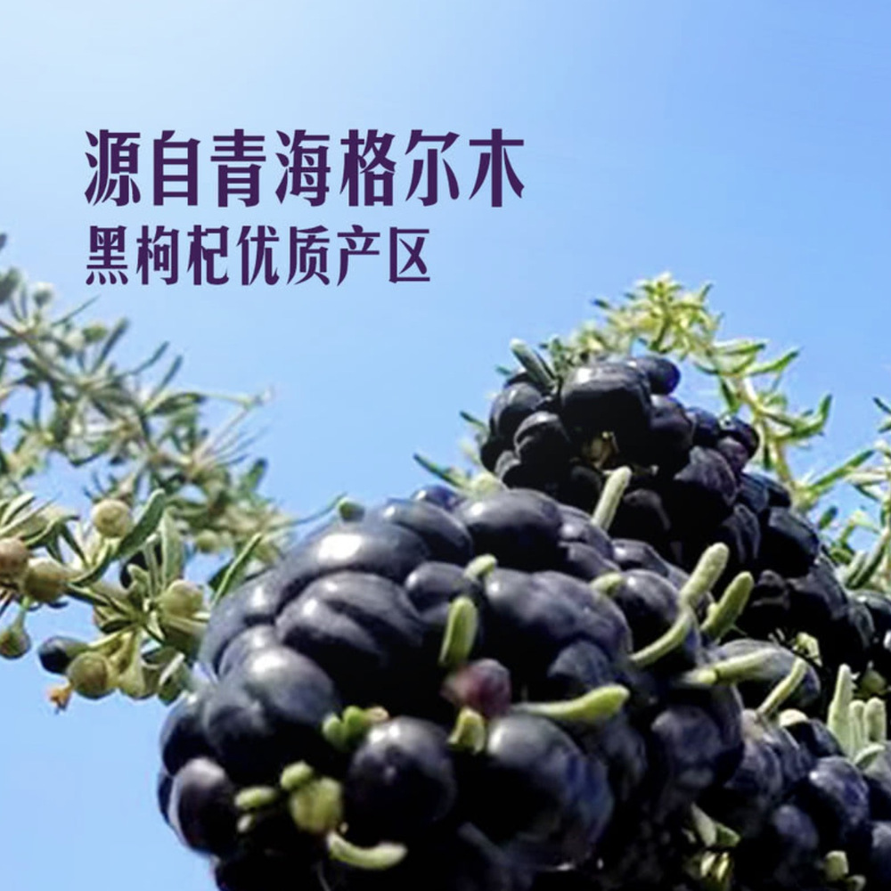 精选黑枸杞 240g 详情图 4