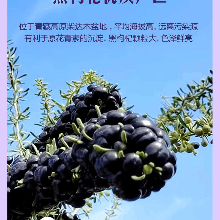 精选黑枸杞 240g 详情图 1