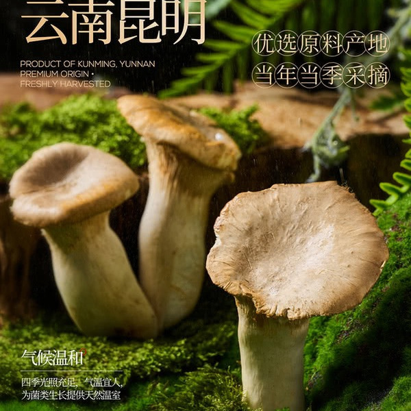 湖心泉 灰虎掌菌 200g 详情图 1