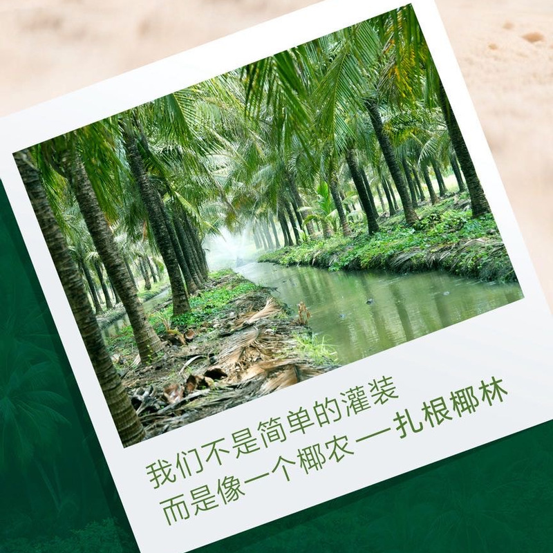 佳果源 100%NFC椰子水1L*6瓶 进口 详情图 1