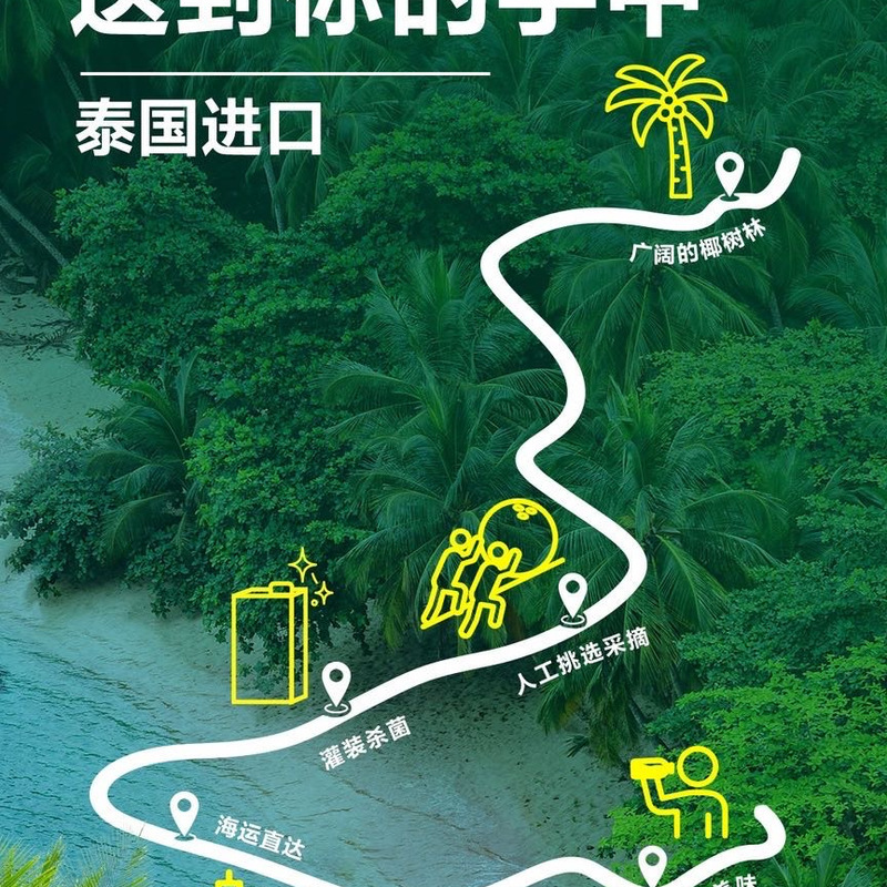 佳果源 100%NFC椰子水1L*6瓶 进口 详情图 2