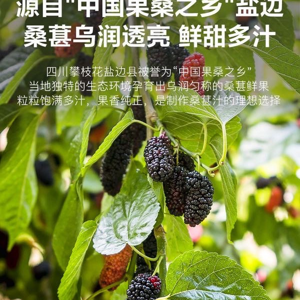 NFC 100%桑葚汁 300mL*20瓶 详情图 2