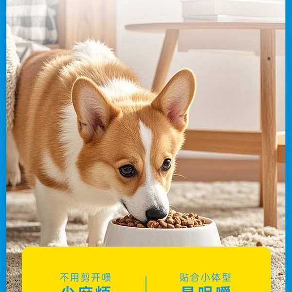 纽顿 美国进口T27全价小型犬犬粮鸡肉&火鸡肉 配方5kg 详情图 4