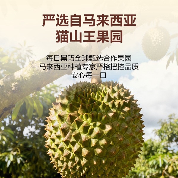 每日ChocDay 鲜萃巧克力制品（猫山王榴莲）165g 详情图 4