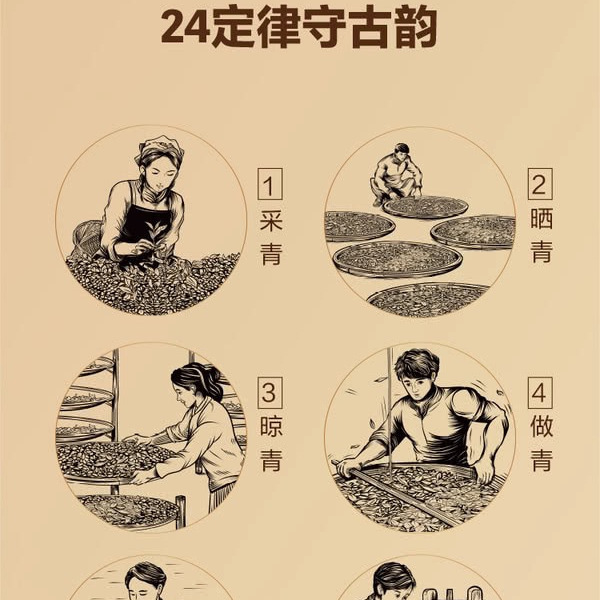 八马 浓香铁观音200g 详情图 8