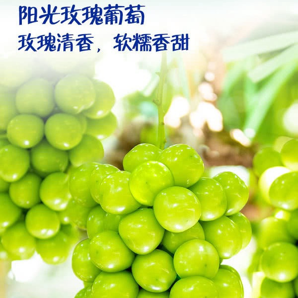 低GI阳光玫瑰葡萄干700g 详情图 4