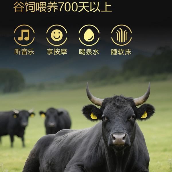 和牛牛排脆（海盐黑胡椒味）178g 详情图 2